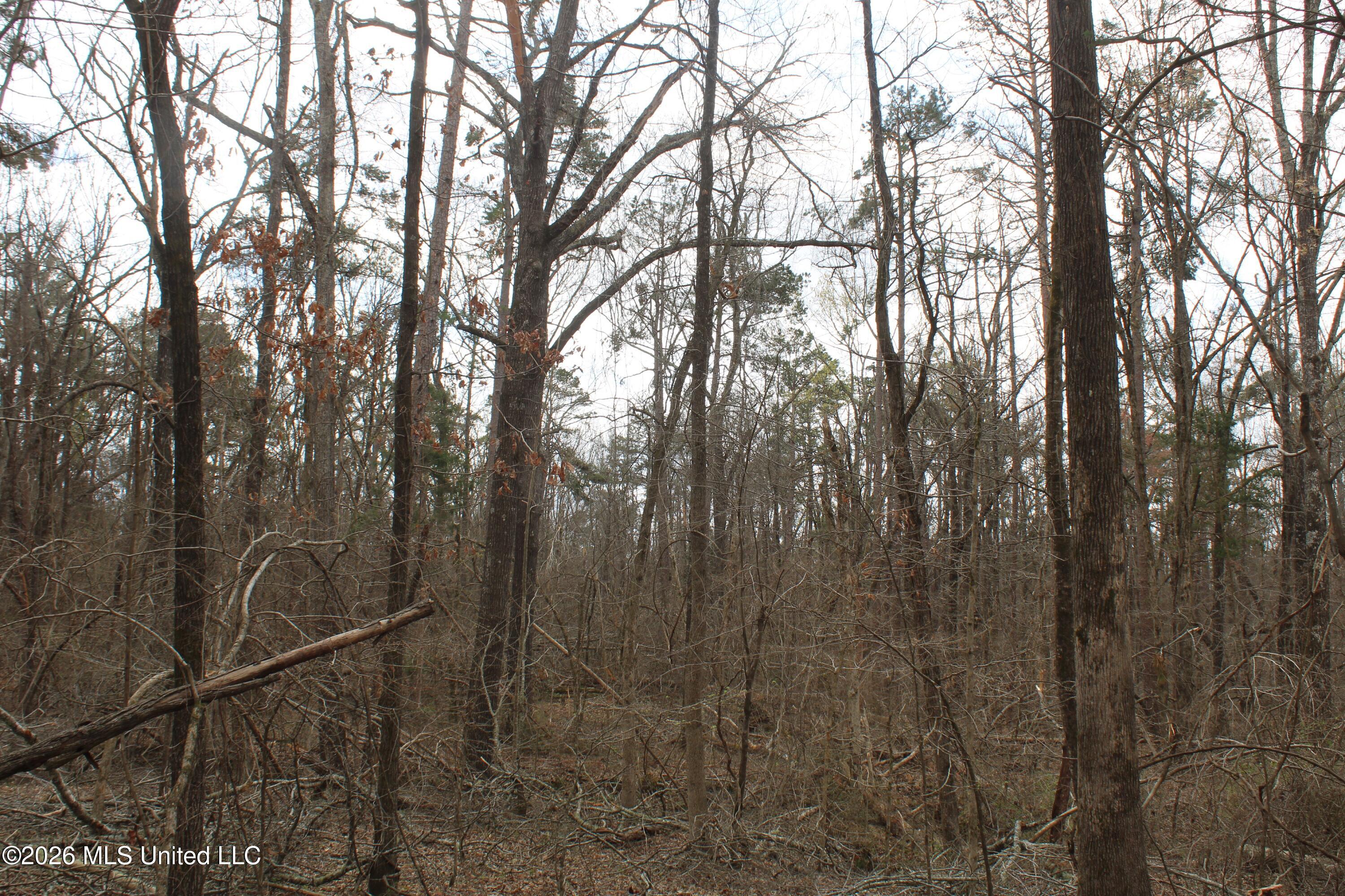 62 County Road 198 Property Photo 17