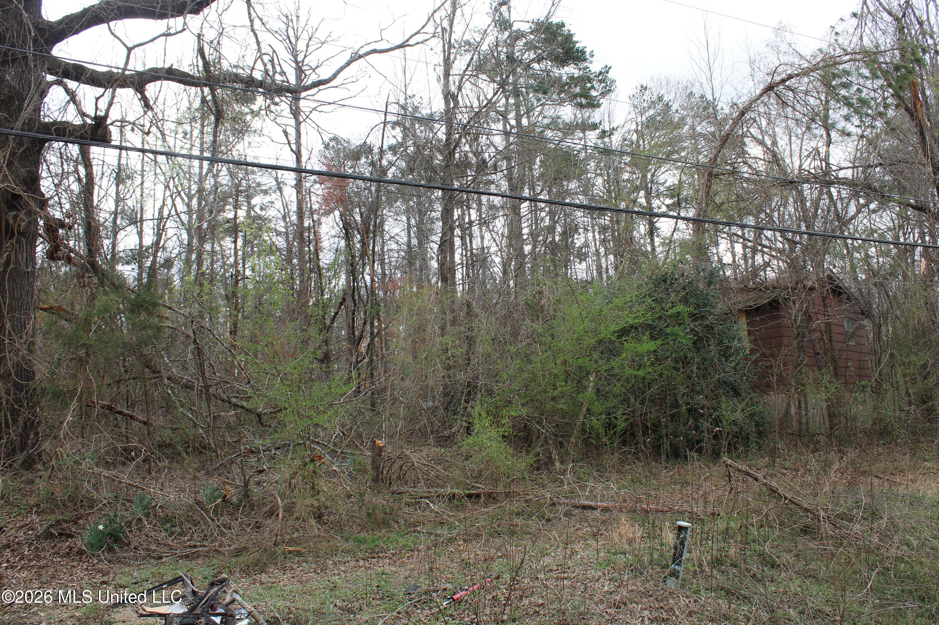 62 County Road 198 Property Photo 23