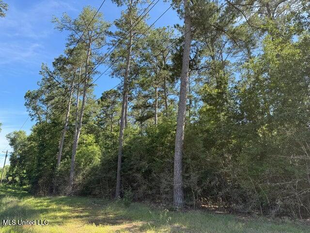 2 Acres Hwy 49 Property Photo 1