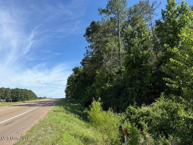 2 Acres Hwy 49 Property Photo 2