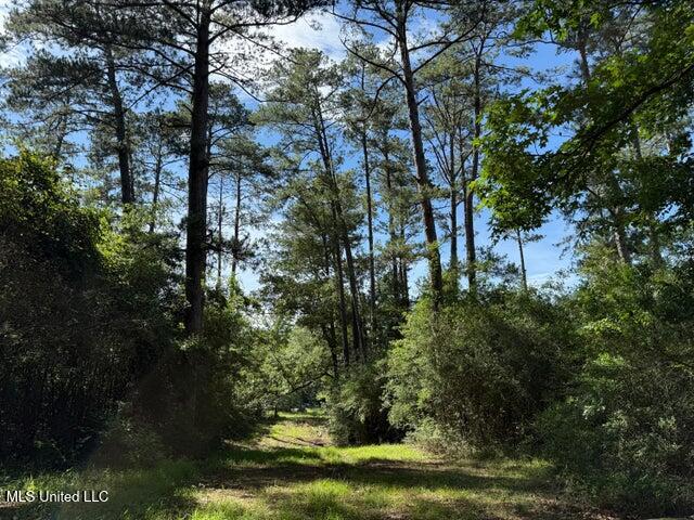 2 Acres Hwy 49 Property Photo 3