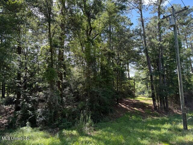 2 Acres Hwy 49 Property Photo 4