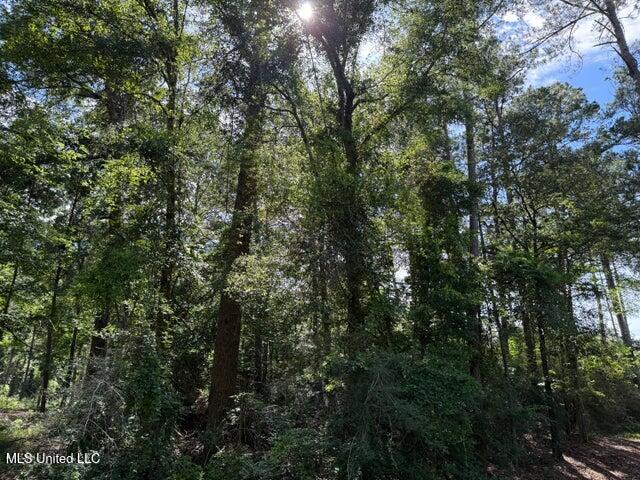 2 Acres Hwy 49 Property Photo 5