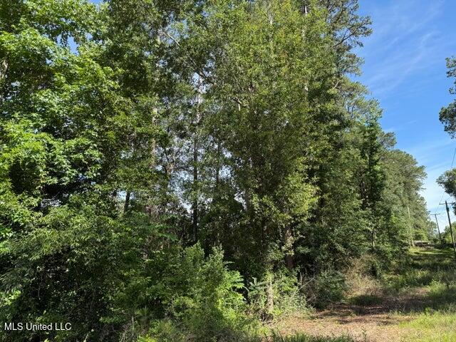 2 Acres Hwy 49 Property Photo 6