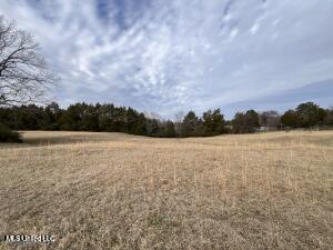 1477 Ms-6 Property Photo 4