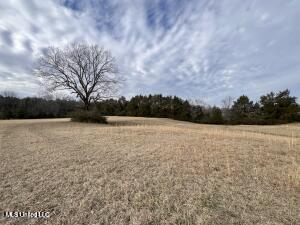 1477 Ms-6 Property Photo 5