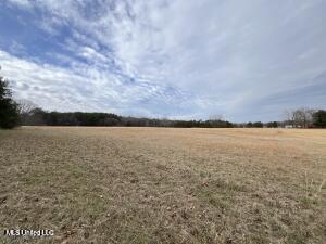1477 Ms-6 Property Photo 9