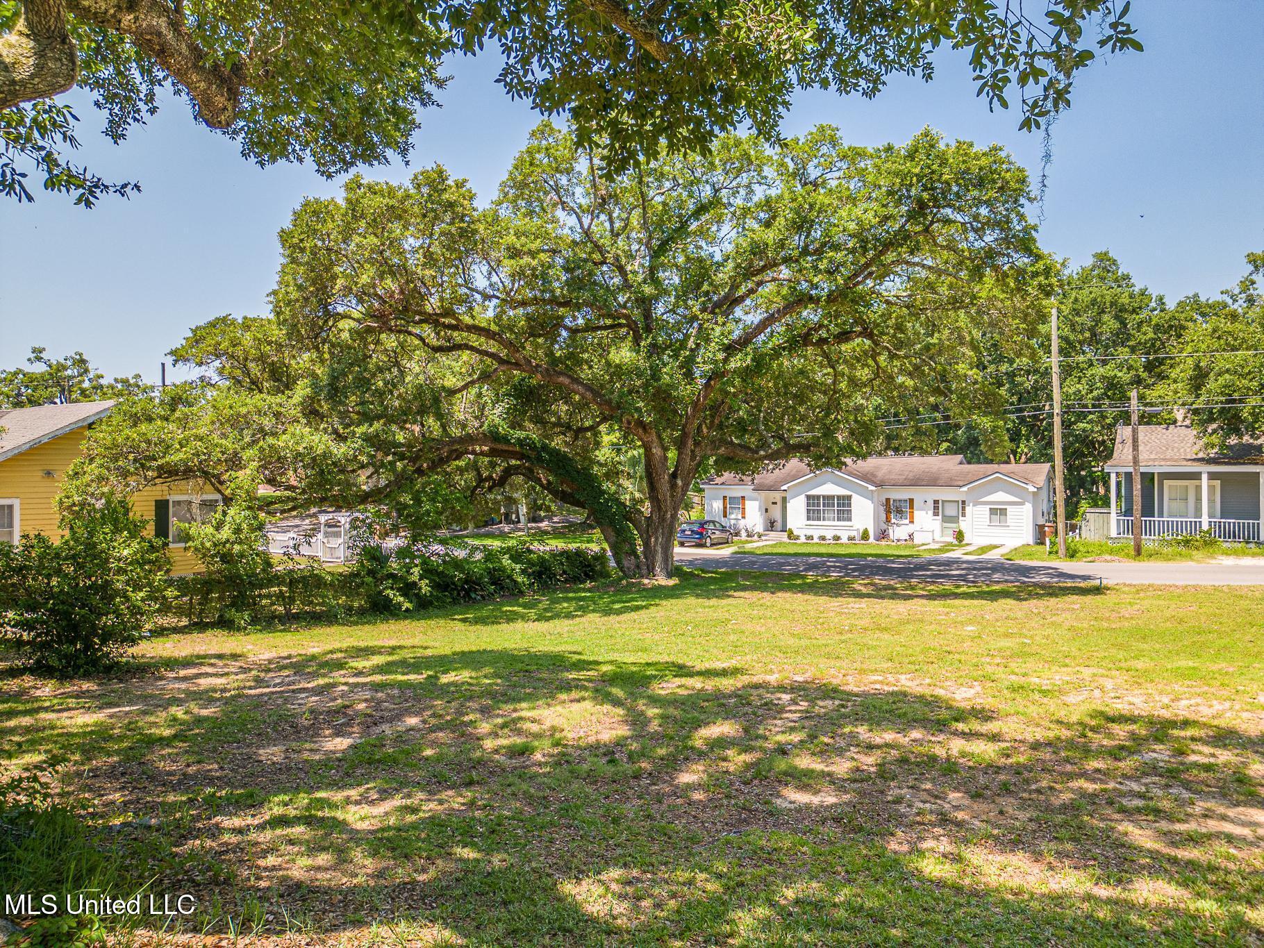 146 Gill Avenue Property Photo 4