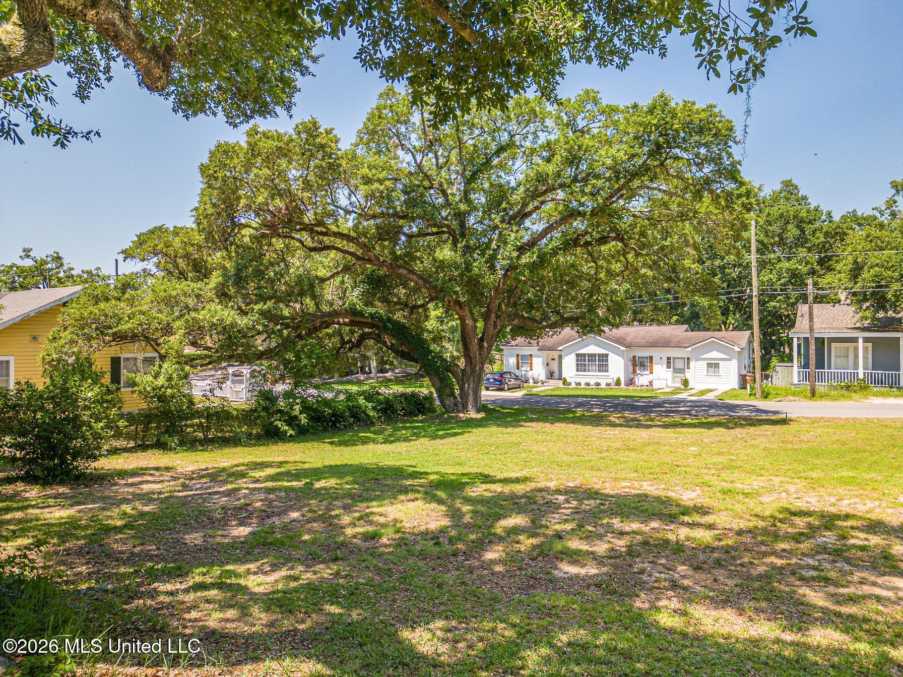 146 Gill Avenue Property Photo 17