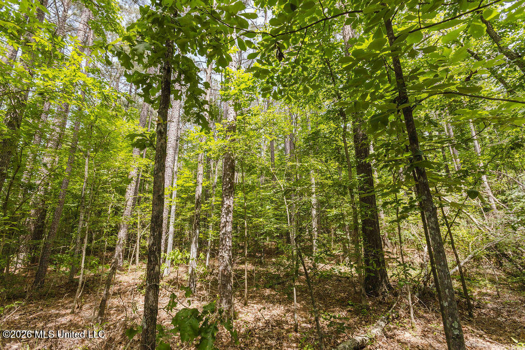 000 Highway 25 Property Photo 10
