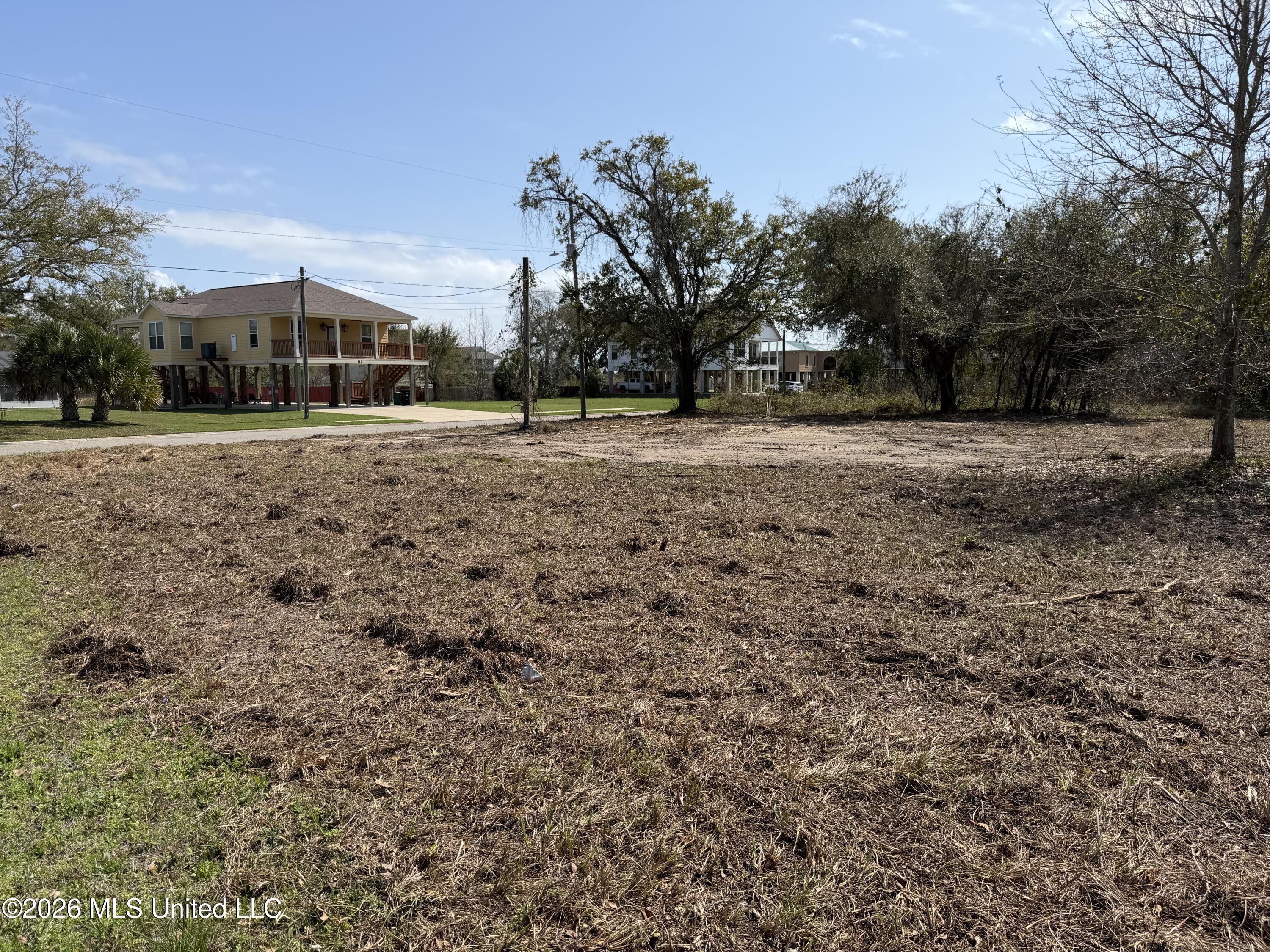 115 Pitcher Point Property Photo 4