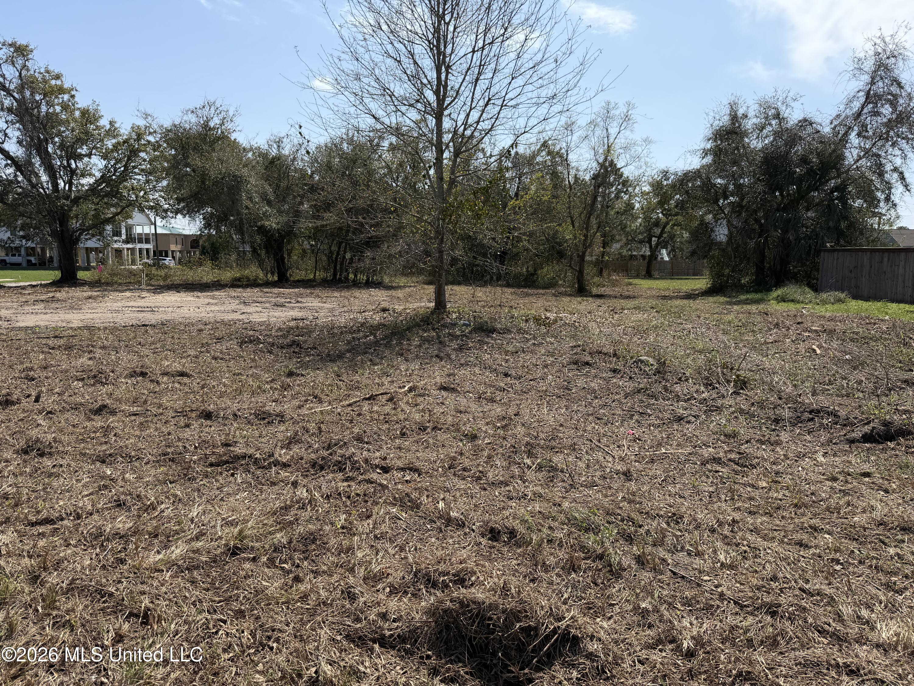 115 Pitcher Point Property Photo 6