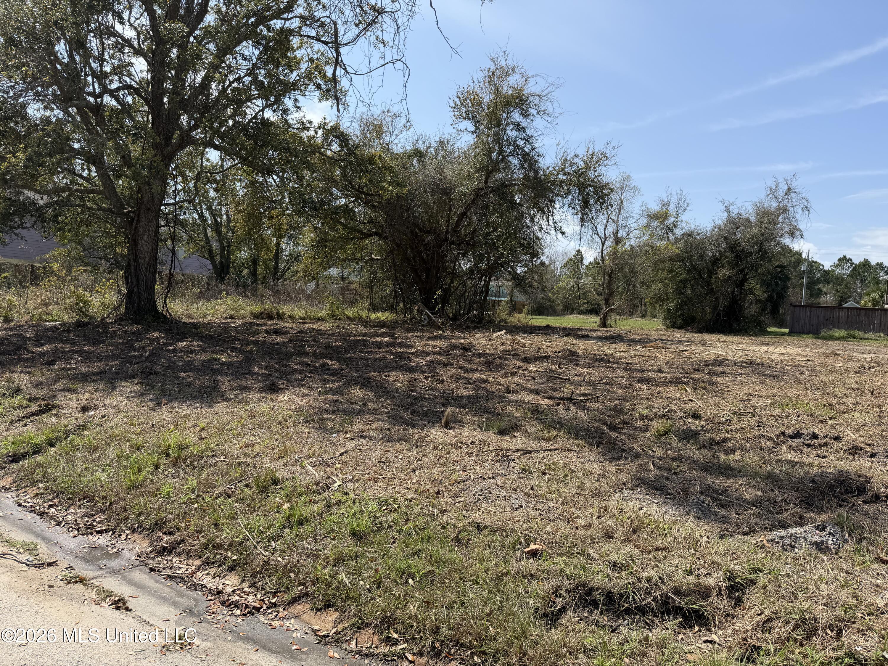 115 Pitcher Point Property Photo 9
