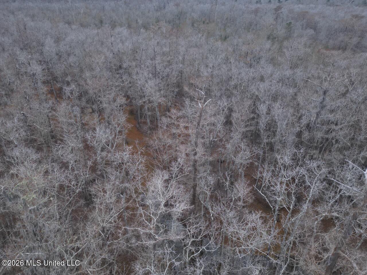 0 Booth Road Property Photo 16
