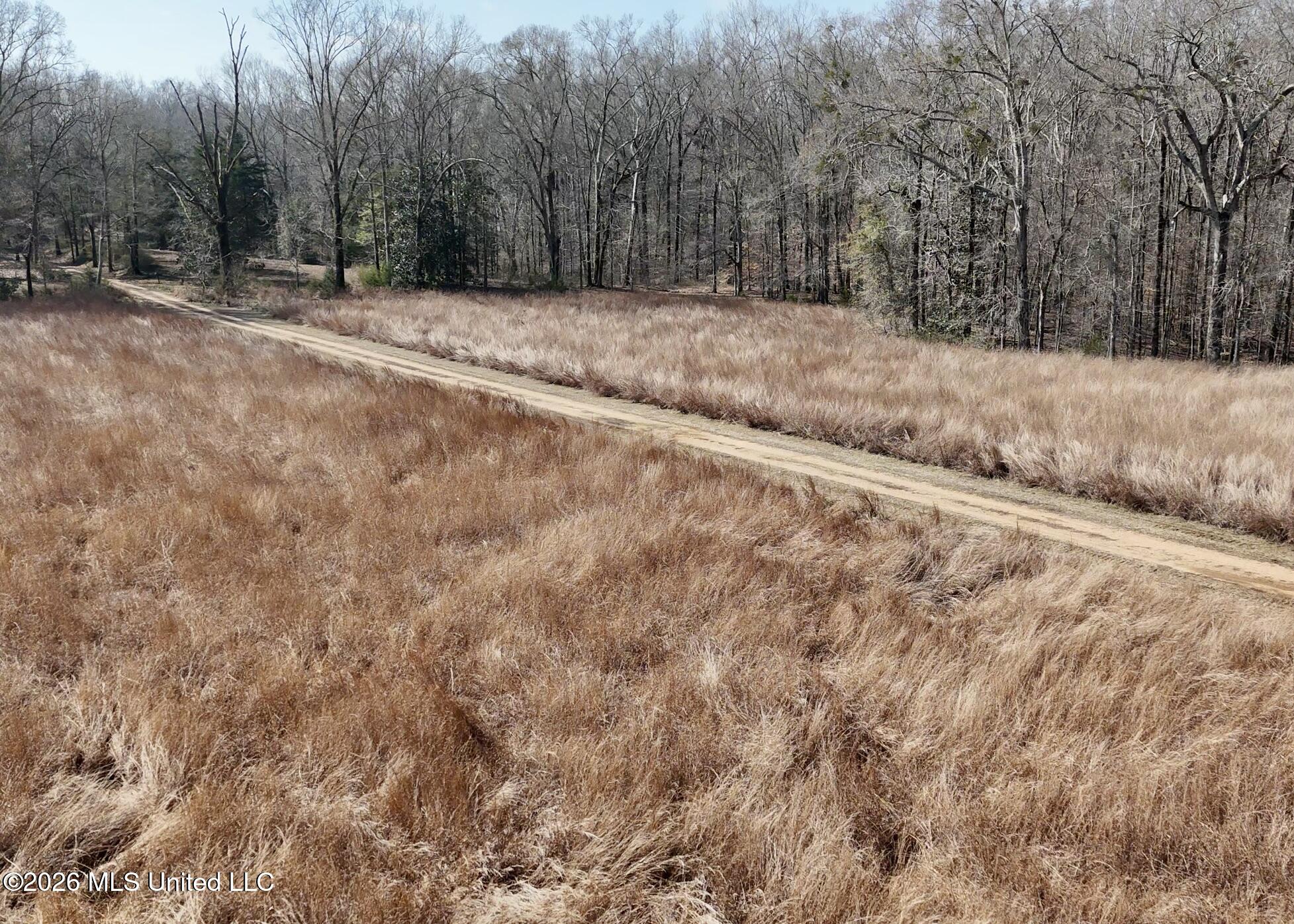9227 River Road Property Photo 9