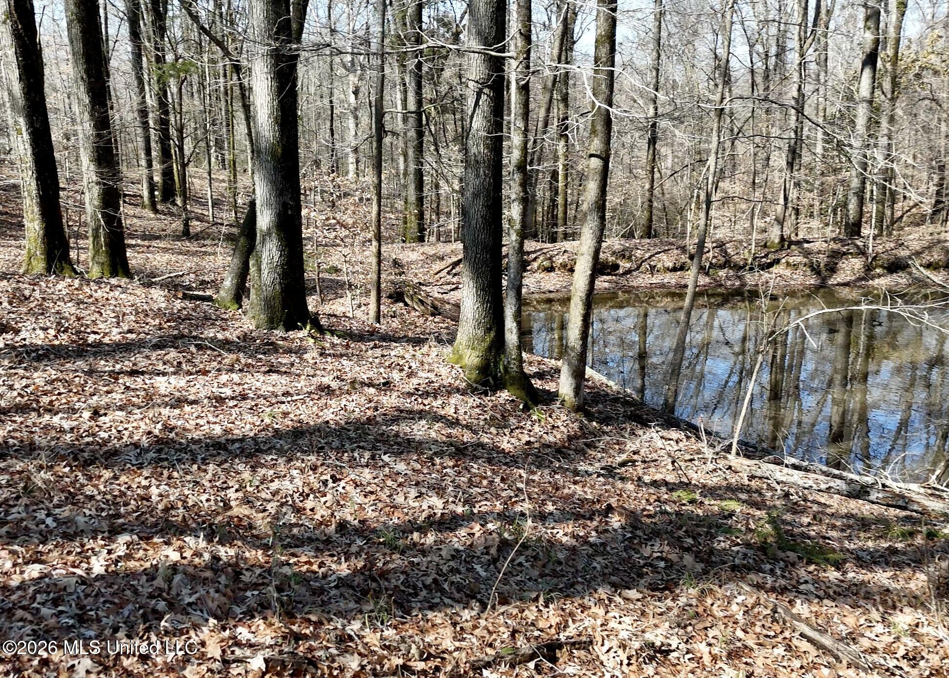 9227 River Road Property Photo 67