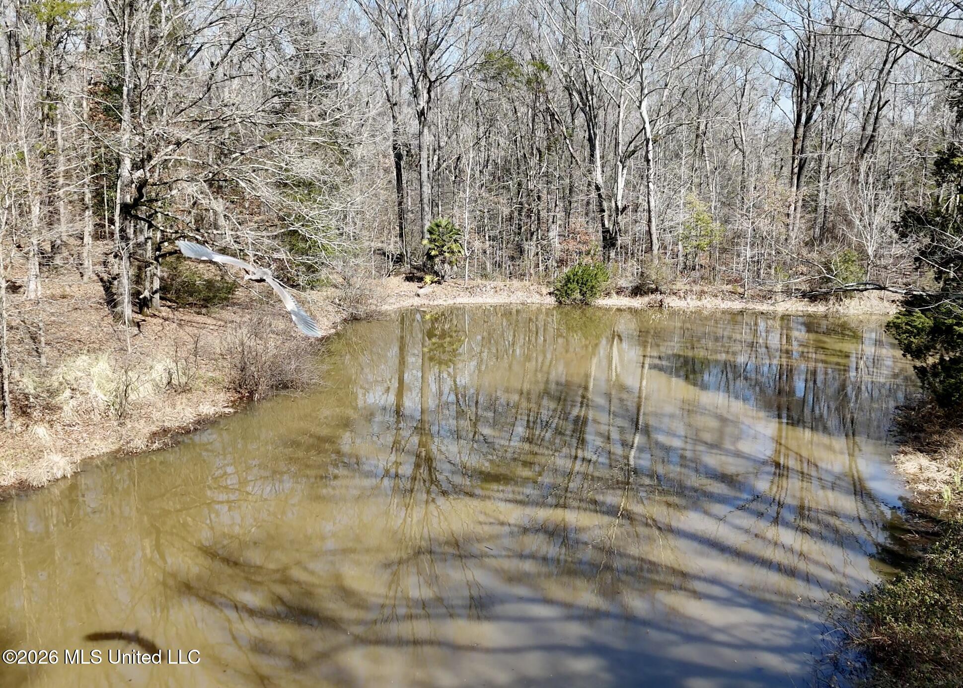 9227 River Road Property Photo 68