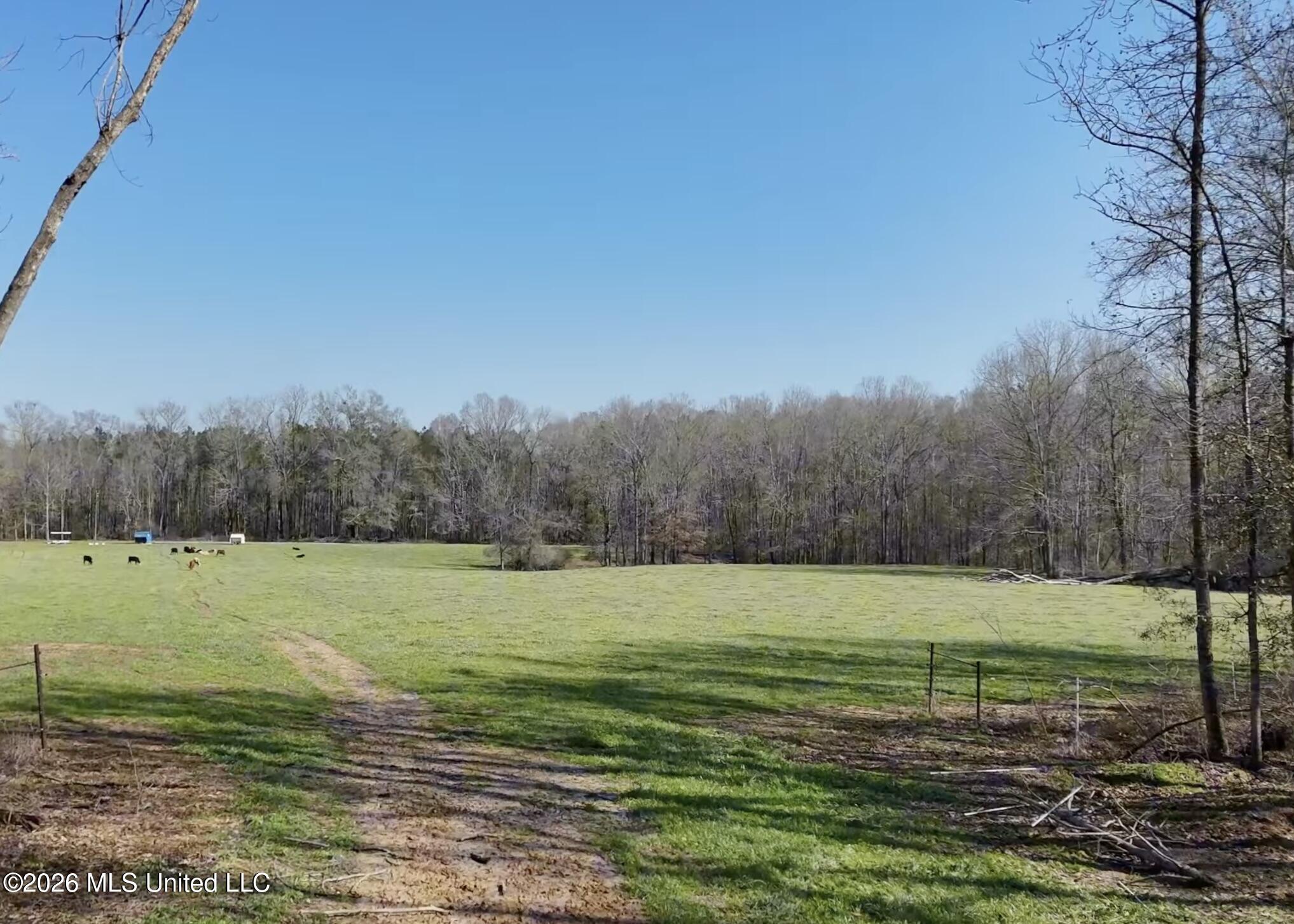 9227 River Road Property Photo 69