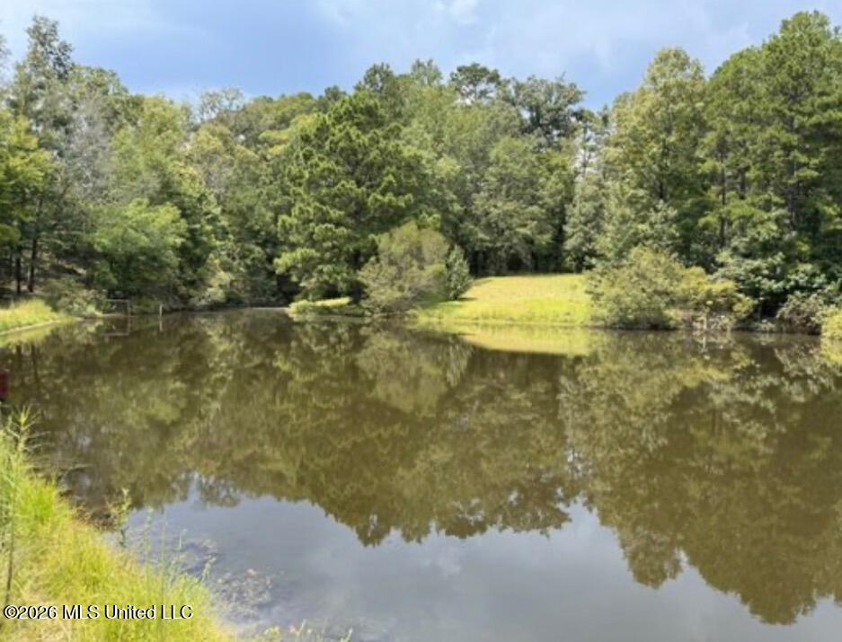 464 Felps Lane Property Photo 4