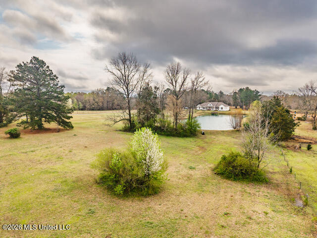 4597 Hernando Road Property Photo 3
