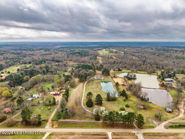 4597 Hernando Road Property Photo 4