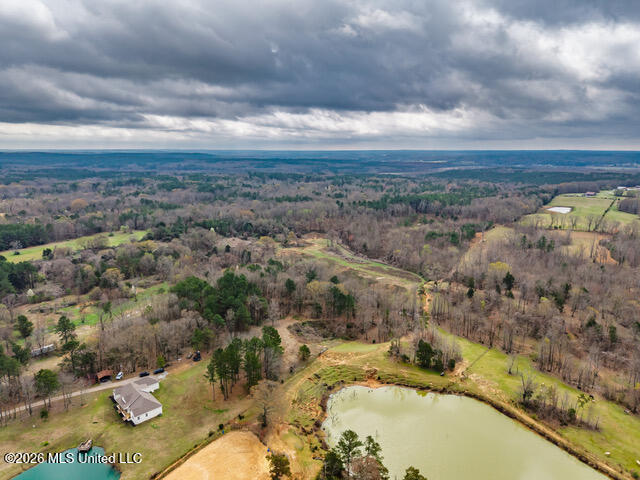 4597 Hernando Road Property Photo 6