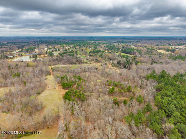 4597 Hernando Road Property Photo 7