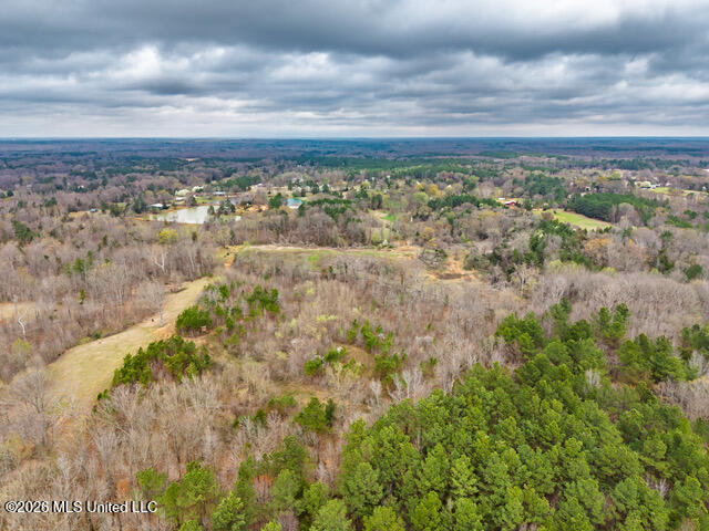 4597 Hernando Road Property Photo 8