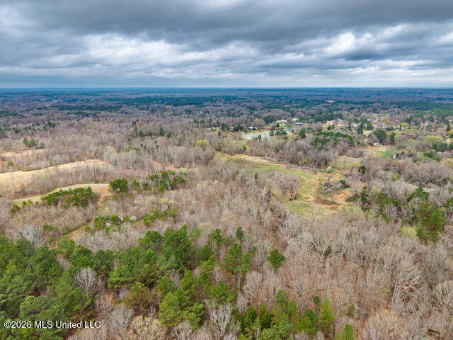 4597 Hernando Road Property Photo 9