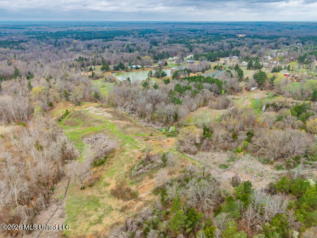4597 Hernando Road Property Photo 10