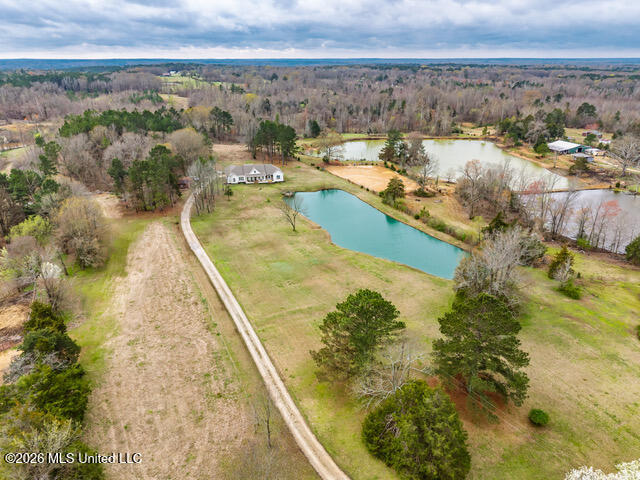 4597 Hernando Road Property Photo 14
