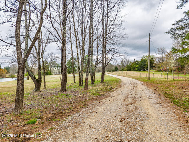 4597 Hernando Road Property Photo 20