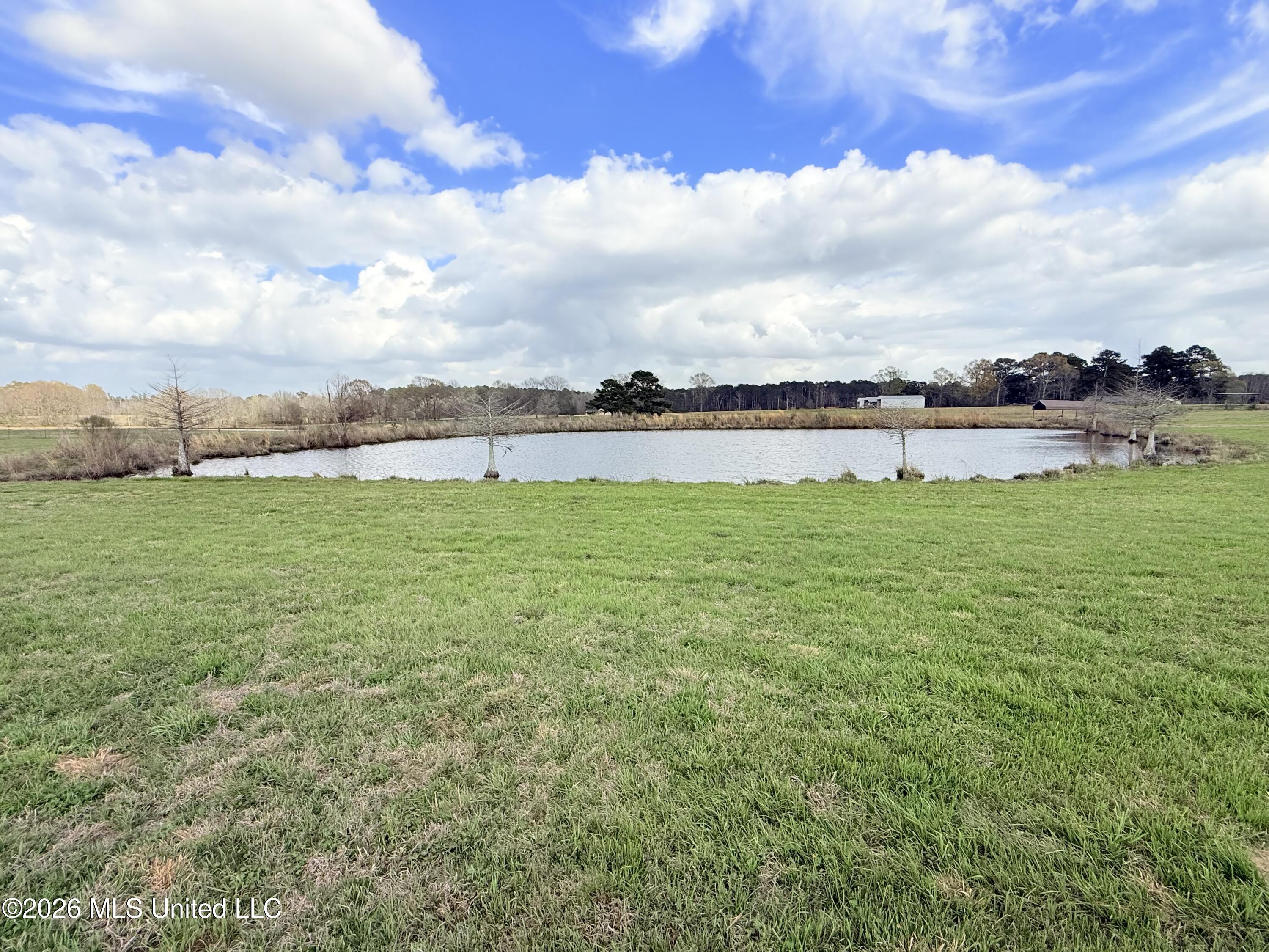 2320 Bogue Chitto Road Property Photo 45