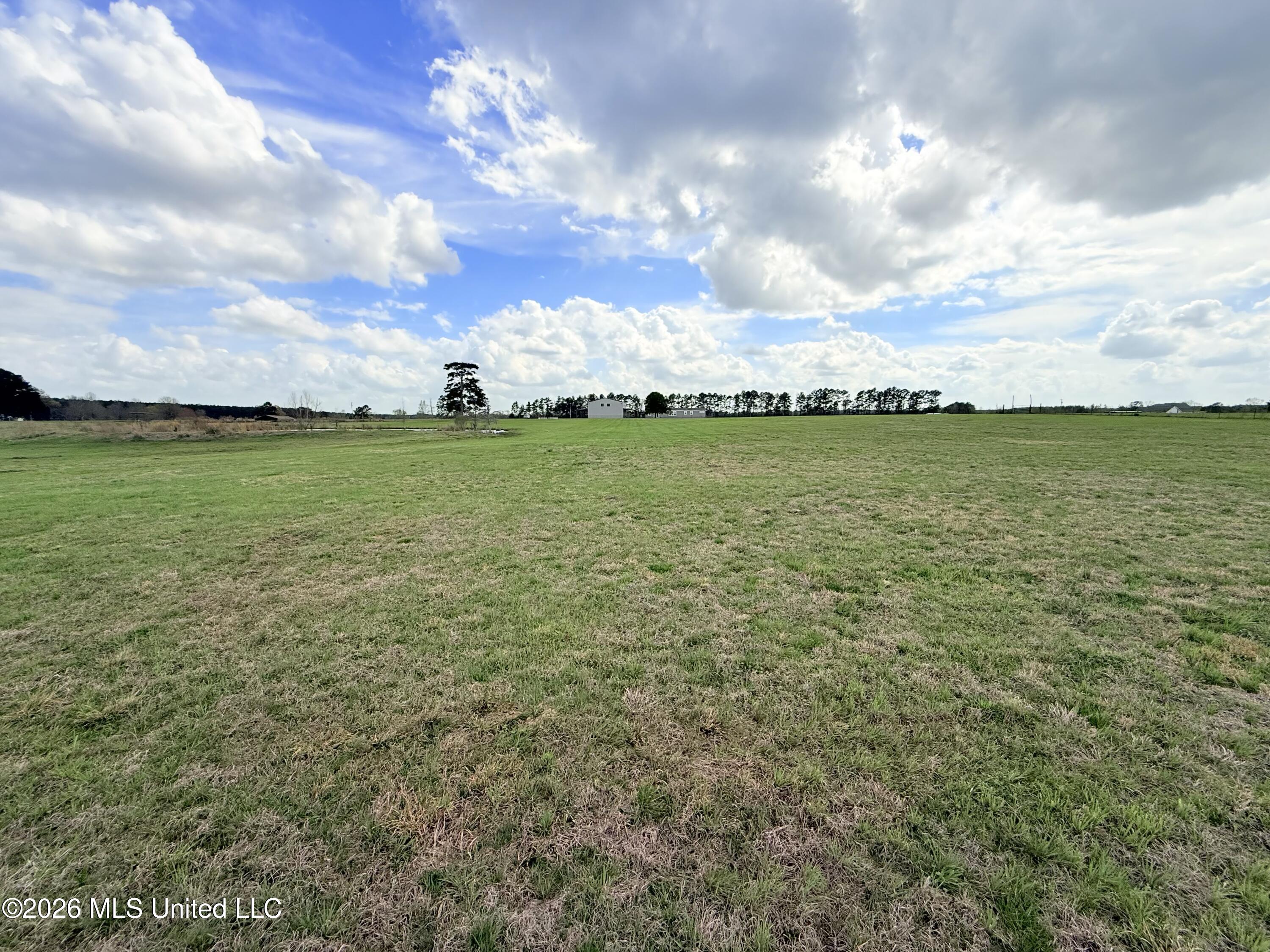 2320 Bogue Chitto Road Property Photo 47