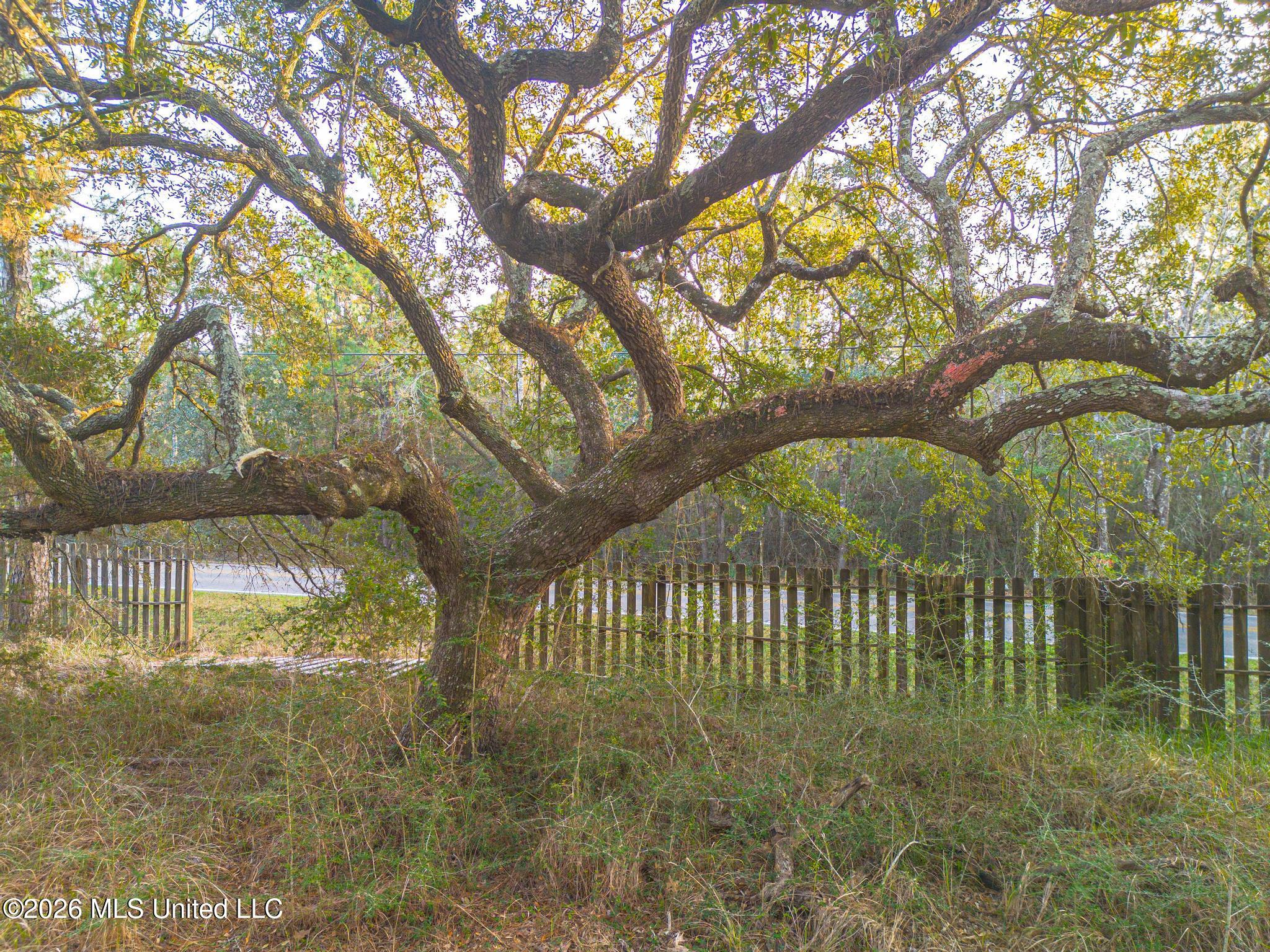 14.96 Acres Arcadia Farm Road Property Photo 4
