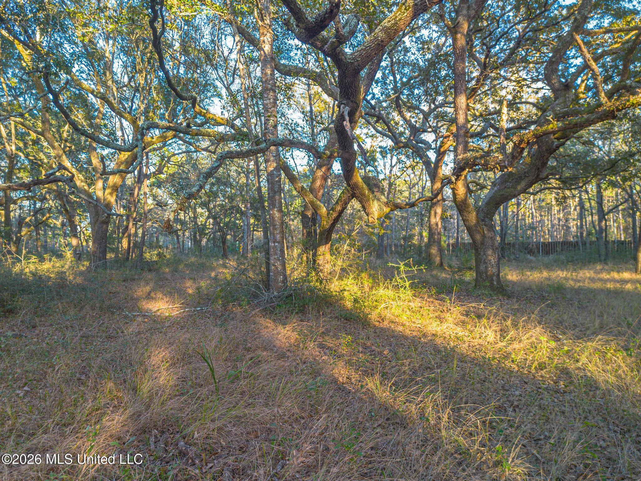 14.96 Acres Arcadia Farm Road Property Photo 6
