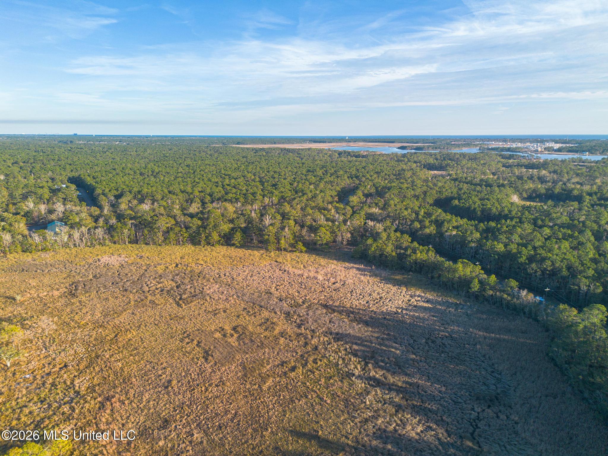14.96 Acres Arcadia Farm Road Property Photo 10