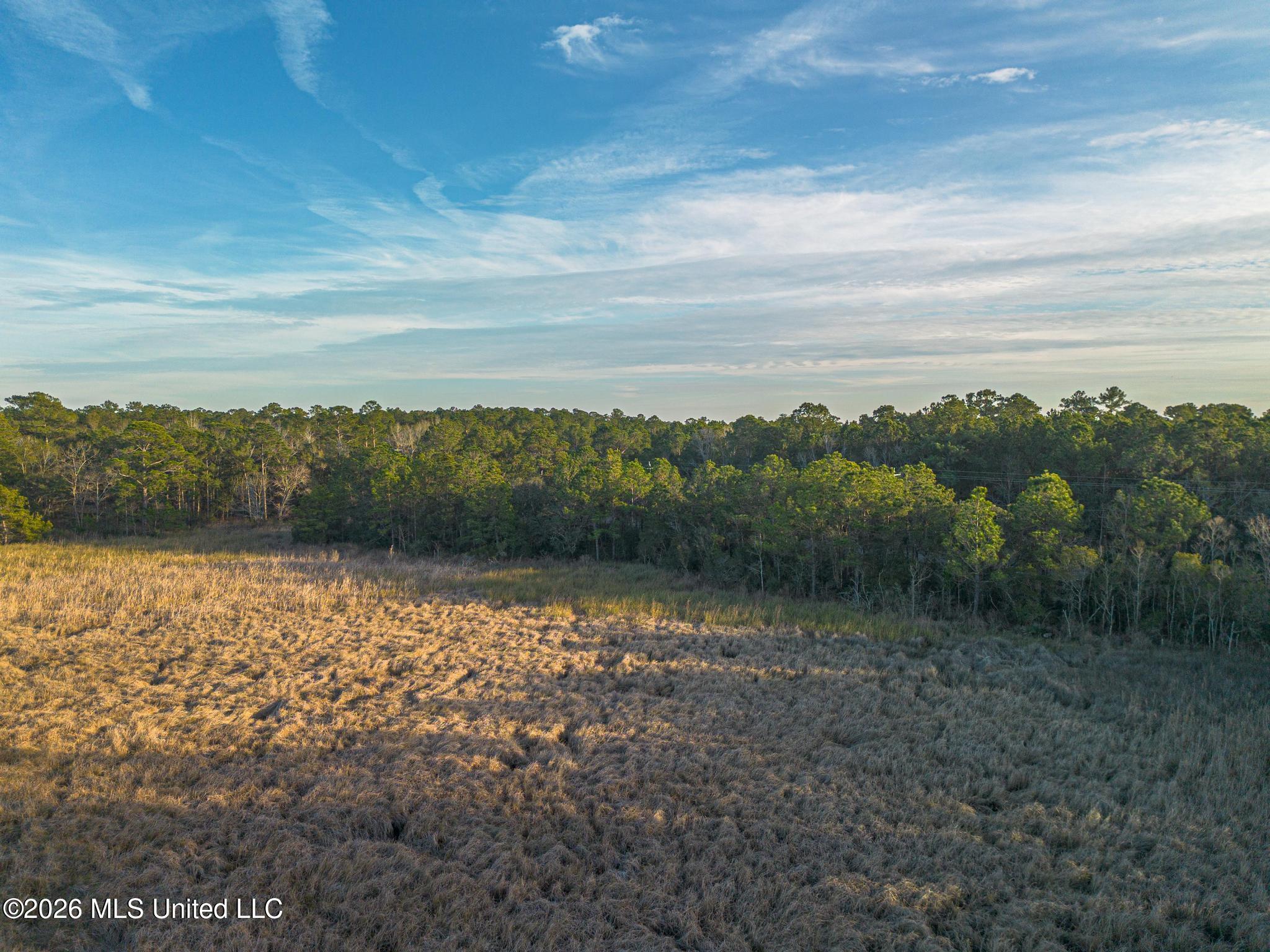 14.96 Acres Arcadia Farm Road Property Photo 11