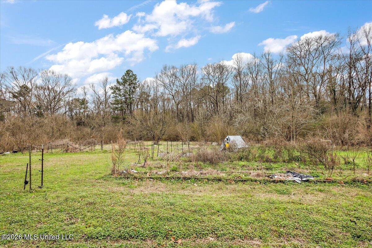 1153 Owens Road Property Photo 8