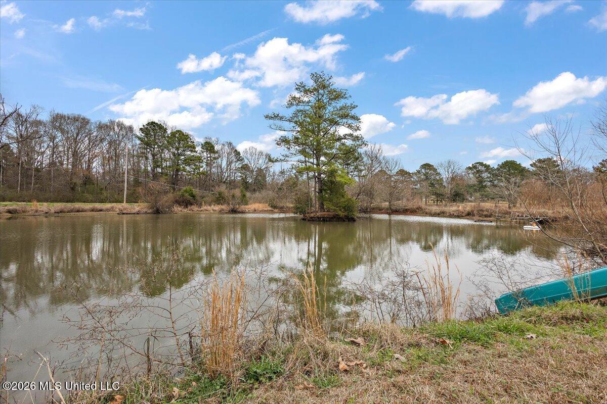 1153 Owens Road Property Photo 9