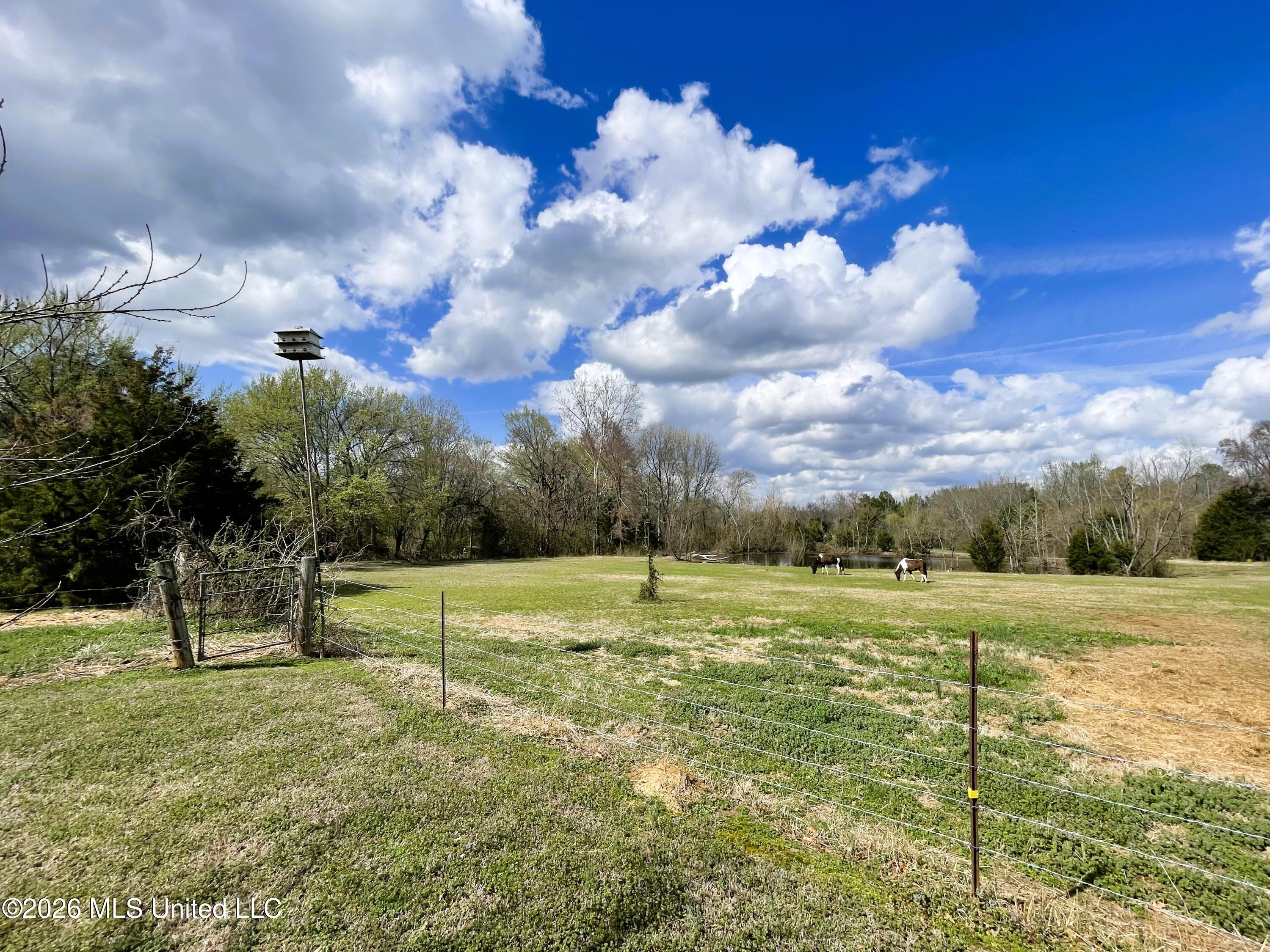286 Caleb Lane Property Photo 41