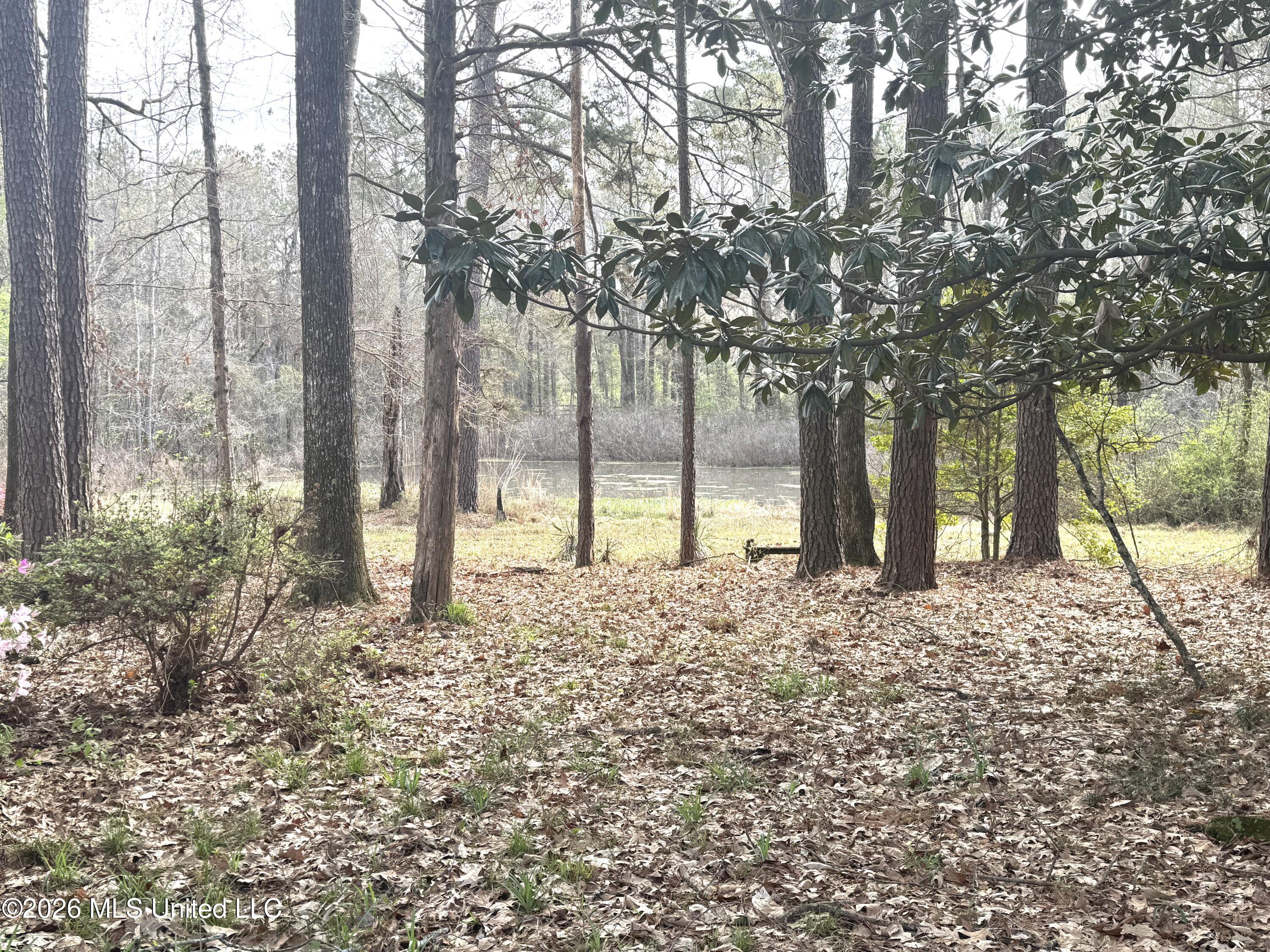 1073 Ratliff Ferry Road Property Photo 4
