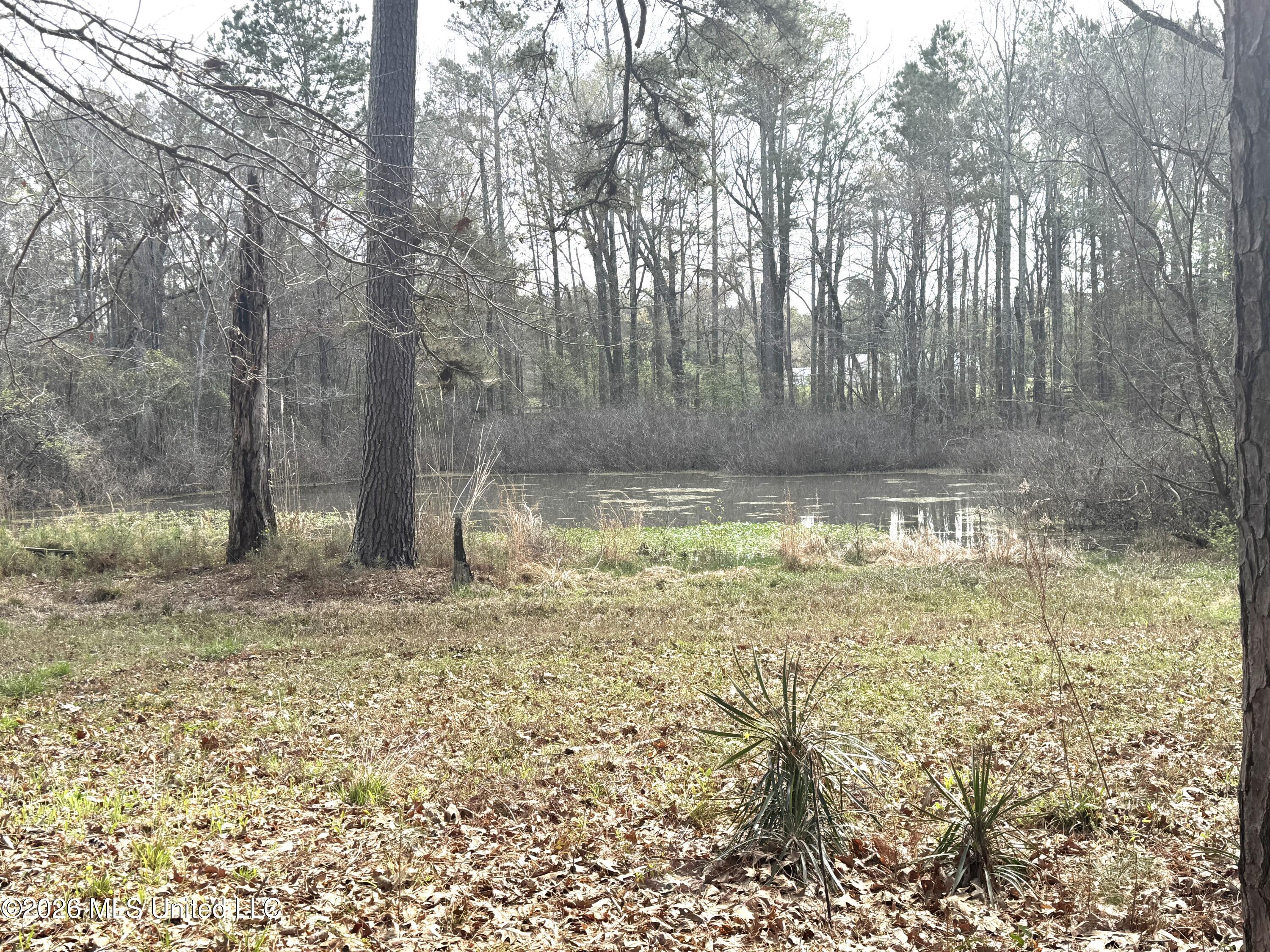 1073 Ratliff Ferry Road Property Photo 5