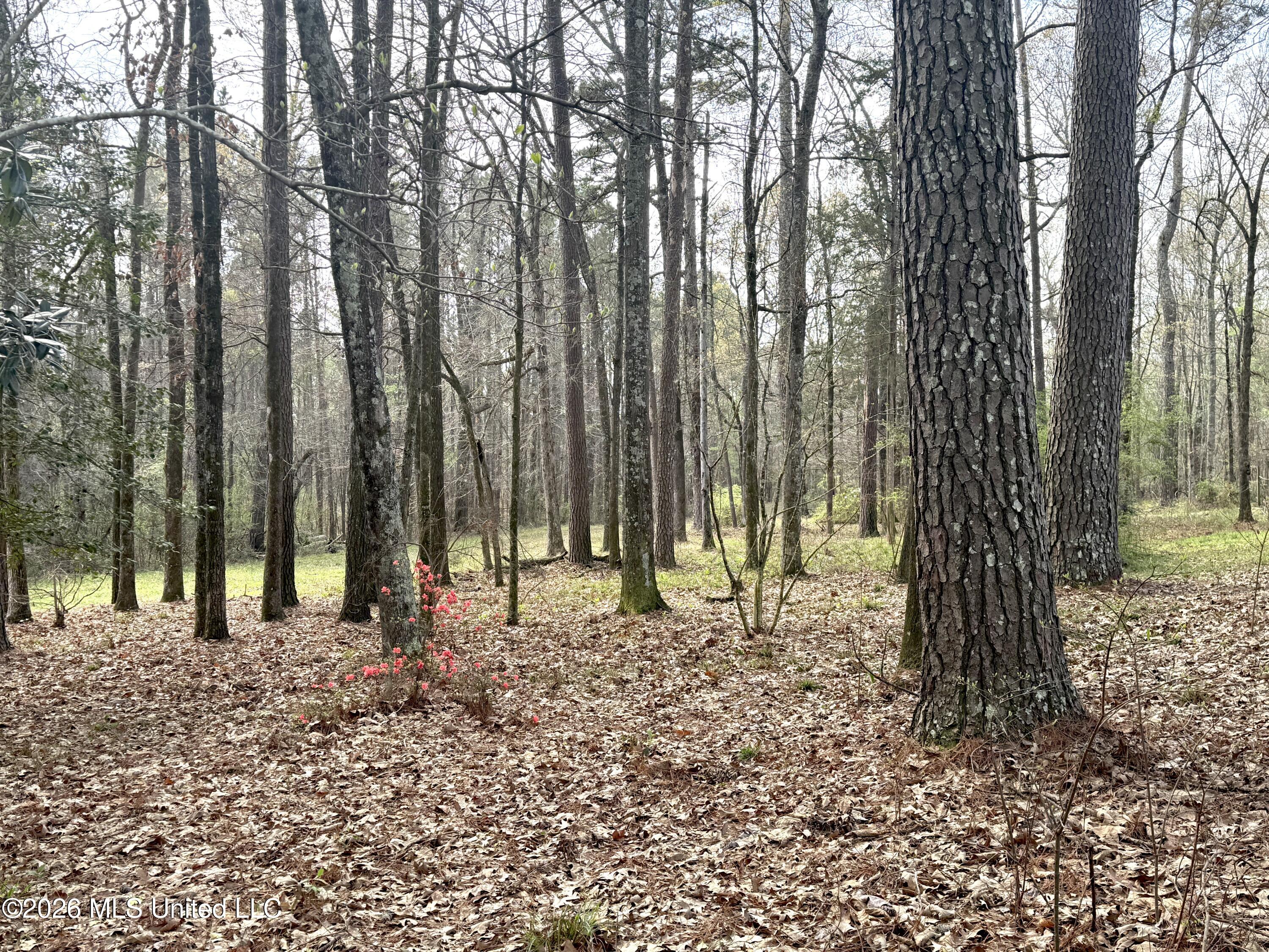 1073 Ratliff Ferry Road Property Photo 6