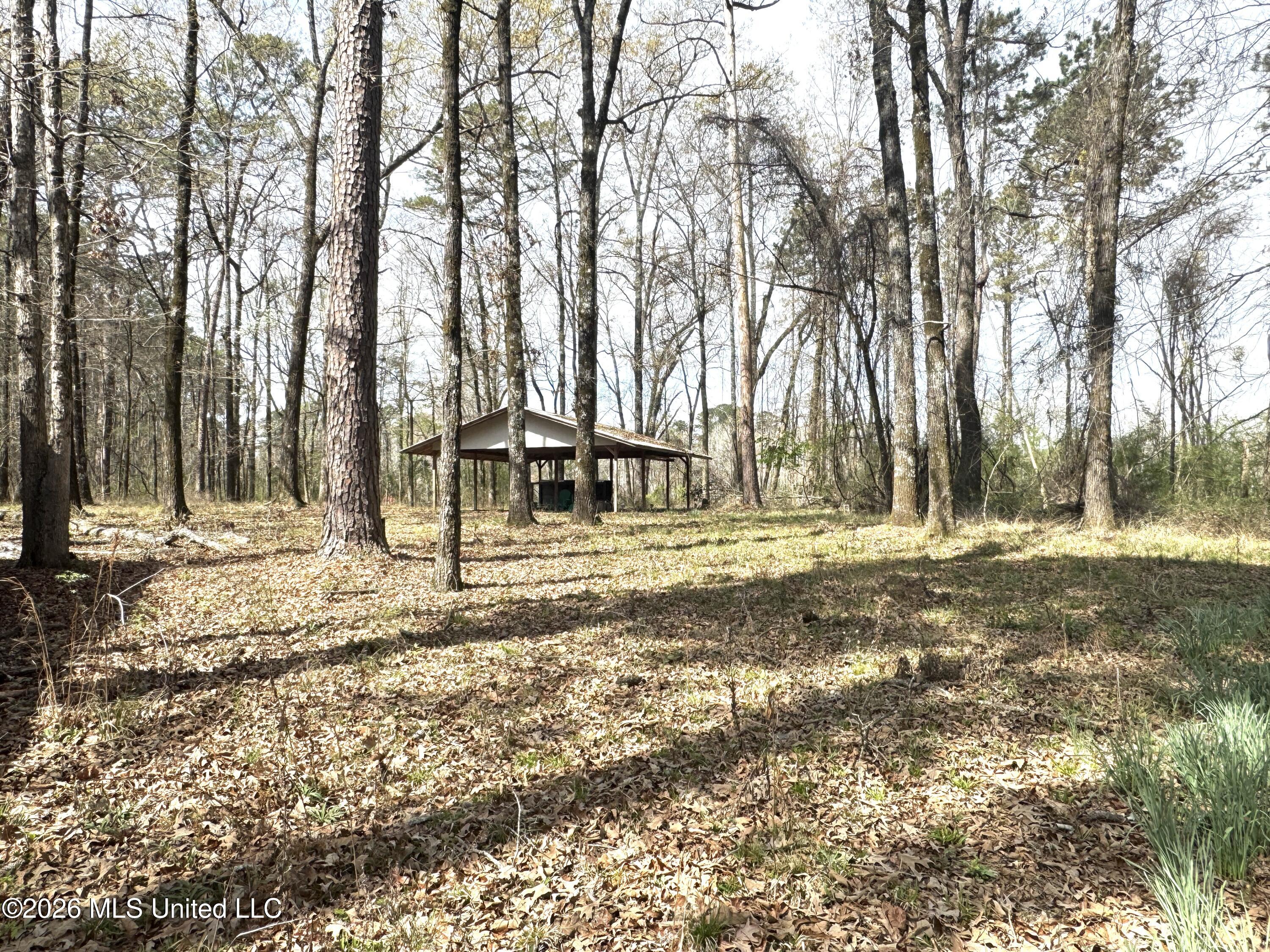 1073 Ratliff Ferry Road Property Photo 14