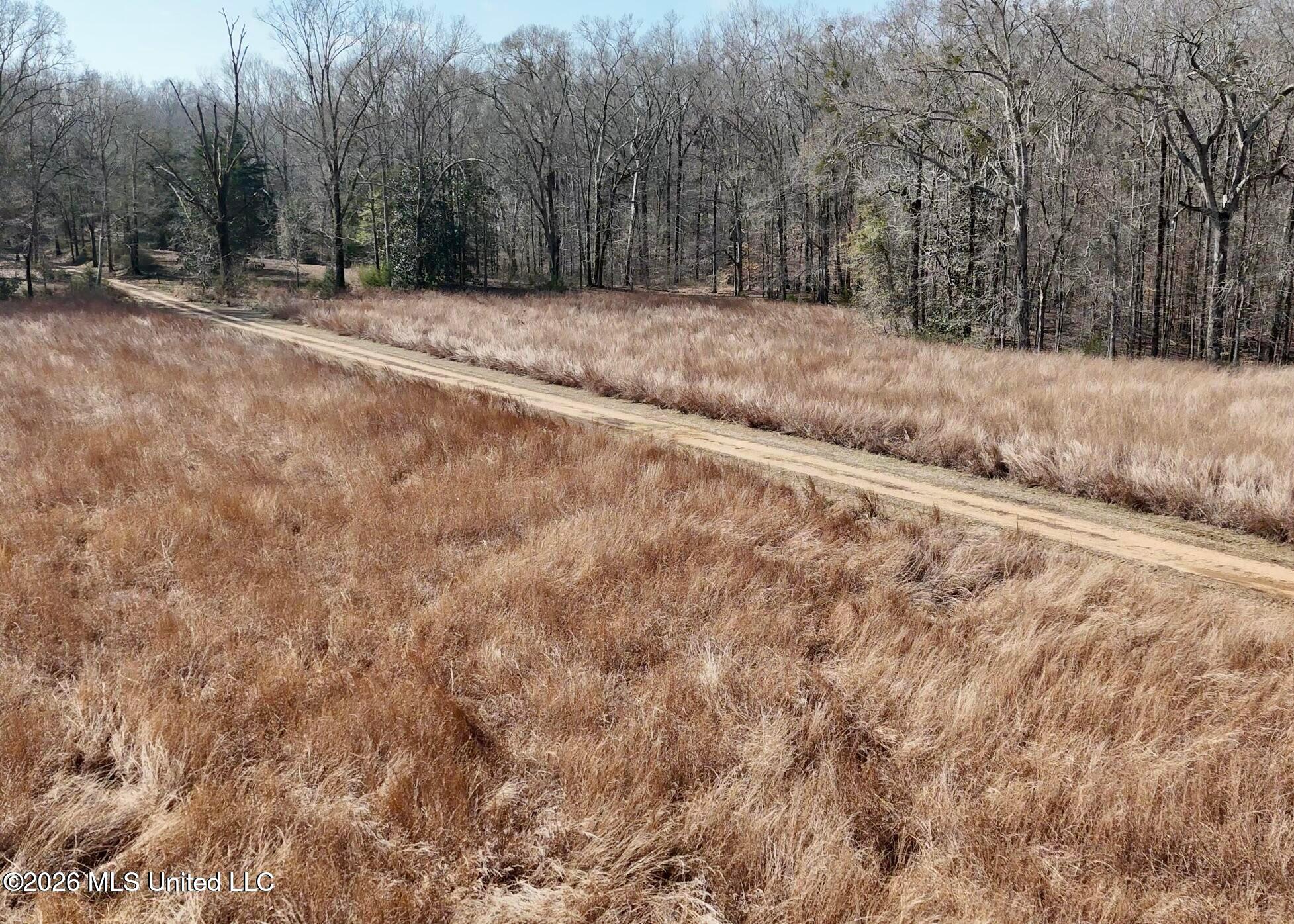 9227 River Road Property Photo 9