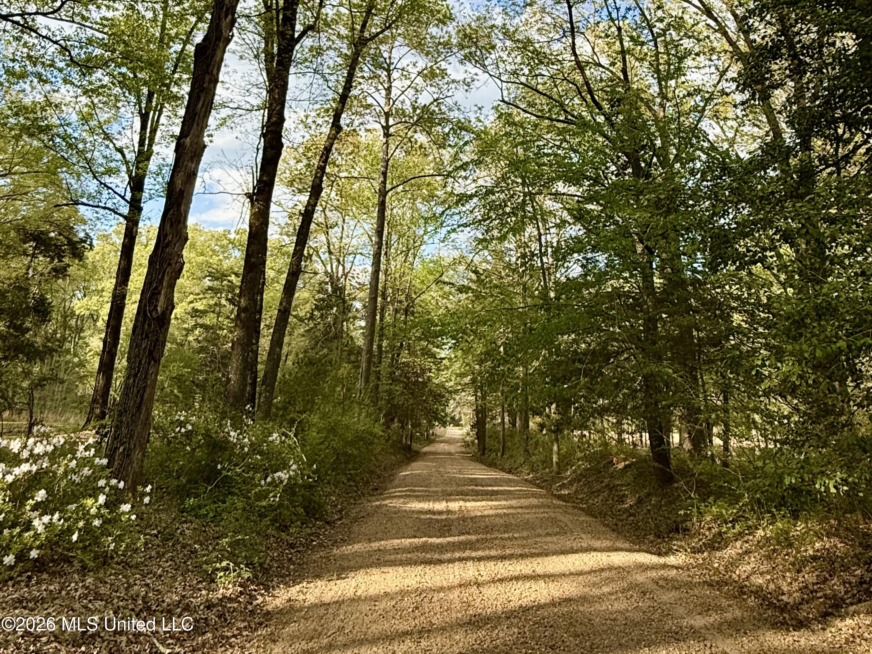9227 River Road Property Photo 12