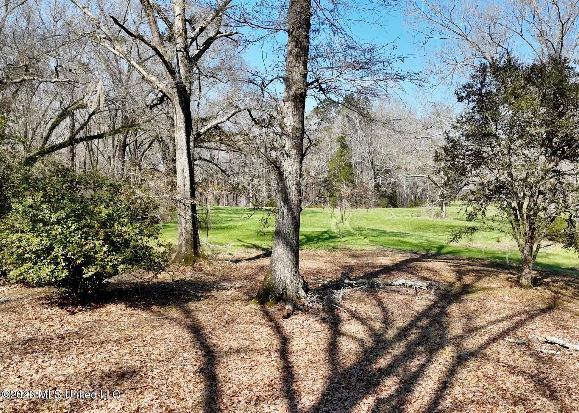 9227 River Road Property Photo 67