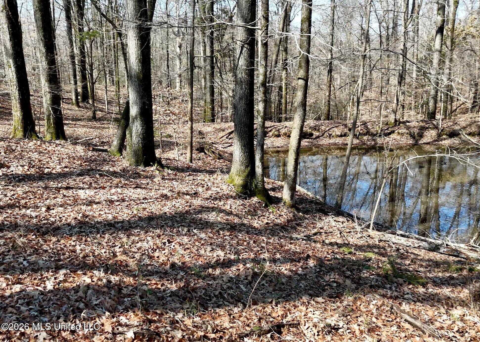 9227 River Road Property Photo 68