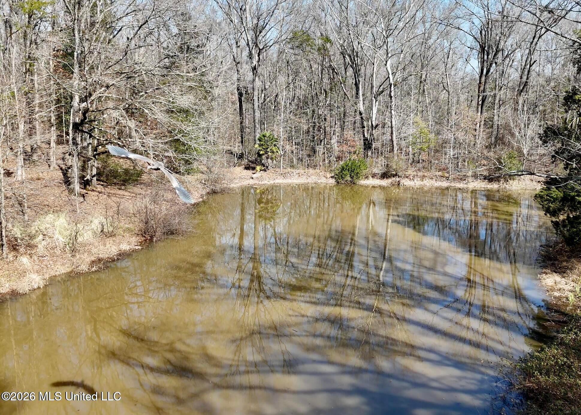 9227 River Road Property Photo 69
